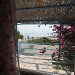Blue Marli * Himare